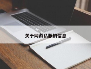 关于网游私服的信息