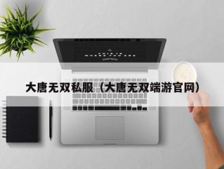 大唐无双私服（大唐无双端游官网）