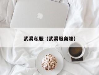 武易私服（武易服务端）