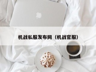 机战私服发布网（机战官服）