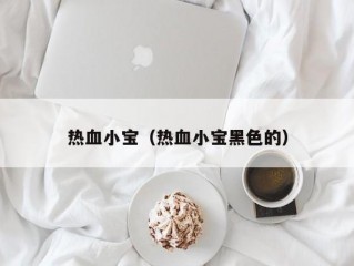 热血小宝（热血小宝黑色的）