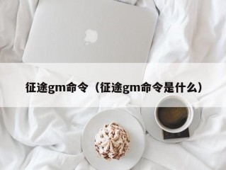 征途gm命令（征途gm命令是什么）