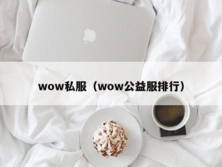 wow私服（wow公益服排行）