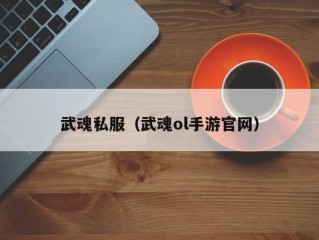 武魂私服（武魂ol手游官网）