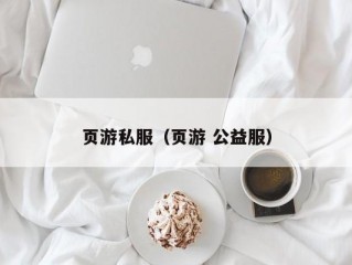 页游私服（页游 公益服）