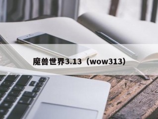 魔兽世界3.13（wow313）